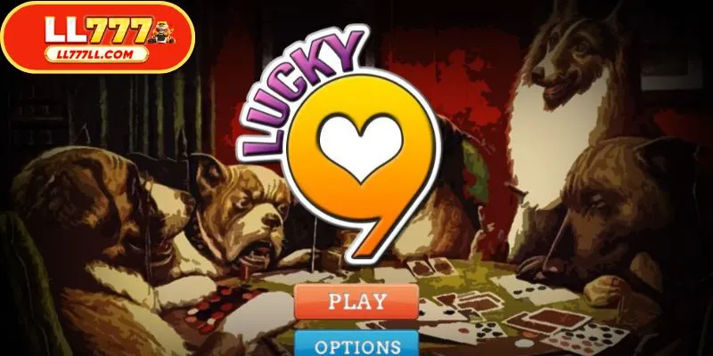 When playing, everyone needs to understand the value of the cards and how the payouts work