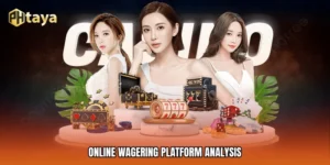 Online Wagering Platform Analysis