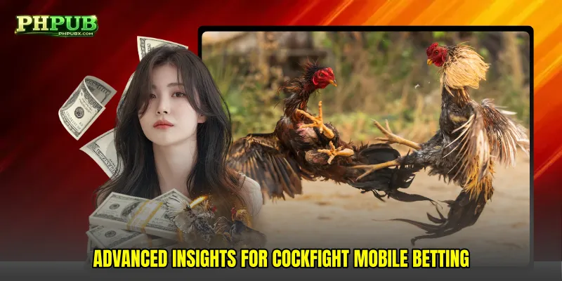 Advanced insights for Cockfight mobile betting